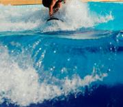 iSurf SURFinPALA nyár!