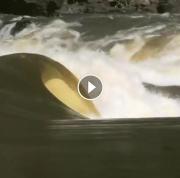 Már régóta várjuk hogy a vadvíz betörésre kerüljön / surf www.surfer.hu